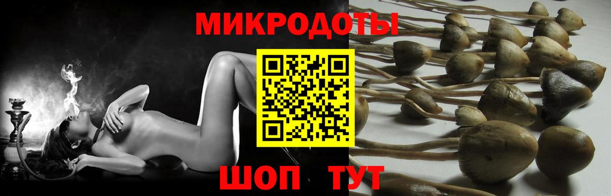 Псилоцибиновые грибы Magic Shrooms  Галлюциногенные грибы Psilocybe  Надым  Вход с VPN 