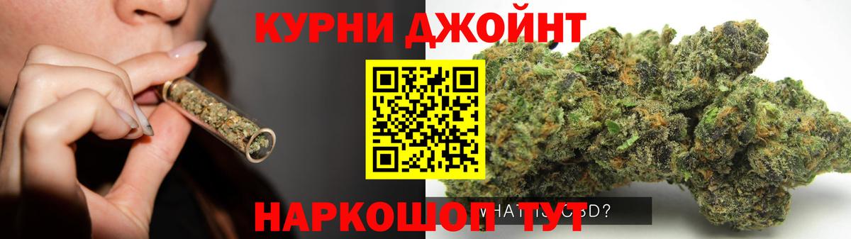 Бошки марихуана тримм  Конопля индика  Вход с VPN  Канабис планчик  Бошки марихуана Bruce Banner  Надым 